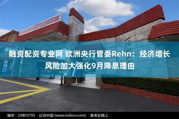 融资配资专业网 欧洲央行管委Rehn：经济增长风险加大强化9月降息理由