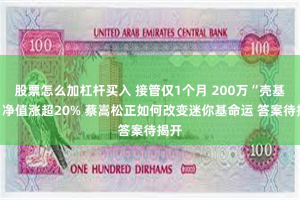 股票怎么加杠杆买入 接管仅1个月 200万“壳基金”净值涨超20% 蔡嵩松正如何改变迷你基命运 答案待揭开