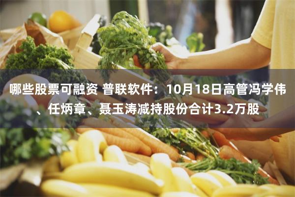 哪些股票可融资 普联软件：10月18日高管冯学伟、任炳章、聂玉涛减持股份合计3.2万股